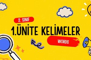 2. Sınıf İngilizce 1. Ünite Kelimeler 19 2. Sınıf İngilizce 1. Ünite Kelimeler