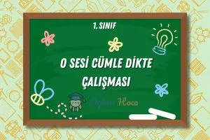 O Sesi Cümle Dikte Çalışması 3 O Sesi Cümle Dikte Çalışması
