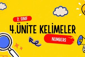 2. Sınıf İngilizce 4. Ünite Kelimeler 13 2. Sınıf İngilizce 4. Ünite Kelimeler