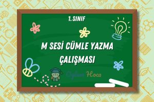 M Sesi Cümle Yazma Çalışması