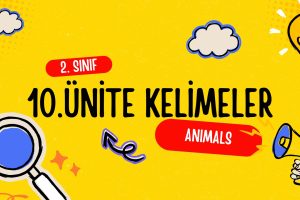 2. Sınıf İngilizce 10. Ünite Kelimeler 1 2. Sınıf İngilizce 10. Ünite Kelimeler