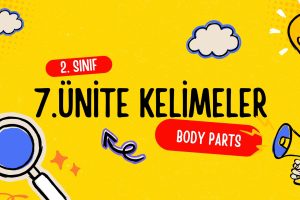 2. Sınıf İngilizce 7. Ünite Kelimeler 7 2. Sınıf İngilizce 7. Ünite Kelimeler