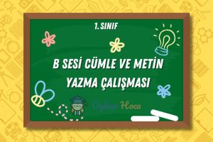 B Sesi Cümle ve Metin Yazma Çalışması 13 B Sesi Cümle ve Metin Yazma Çalışması
