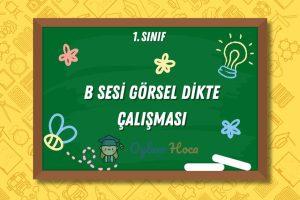 B Sesi Görsel Dikte Çalışması 19 B Sesi Görsel Dikte Çalışması
