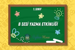 B Sesi Yazma Etkinliği 5 B Sesi Yazma Etkinliği