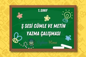 Ş Sesi Cümle ve Metin Yazma Çalışması 3 Ş Sesi Cümle ve Metin Yazma Çalışması