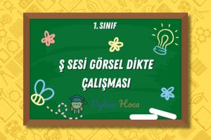 Ş Sesi Görsel Dikte Çalışması 13 Ş Sesi Görsel Dikte Çalışması