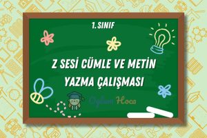 Z Sesi Cümle ve Metin Yazma Çalışması 1 Z Sesi Cümle ve Metin Yazma Çalışması