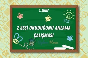 Z Sesi Okuduğunu Anlama Çalışması