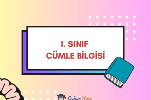 1. Sınıf Cümle Bilgisi Etkinlikleri 1 1. Sınıf Cümle Bilgisi Etkinlikleri