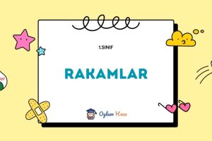 1. Sınıf Matematik Rakamlar 9 1. Sınıf Matematik Rakamlar