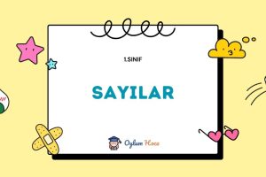 1. Sınıf Matematik Sayılar Etkinlikleri 5 1. Sınıf Matematik Sayılar Etkinlikleri