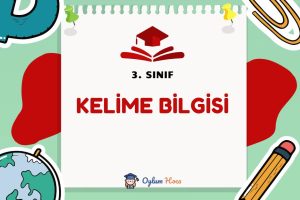 3. Sınıf Kelime Bilgisi