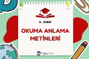 3. Sınıf Okuma Anlama Metinleri 3 3. Sınıf Okuma Anlama Metinleri