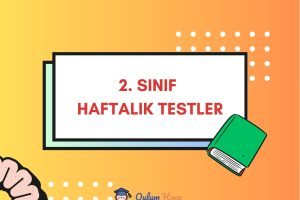 2. Sınıf Haftalık Testler